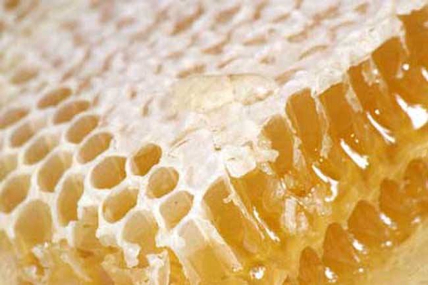 蜂蜜有点苦是什么原因?土蜂蜜为什么苦?