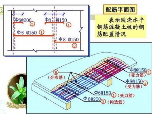 学习看配筋图：8张图教你学会钢筋配筋