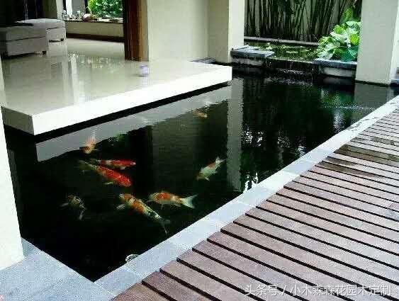 别墅花园之鱼池设计