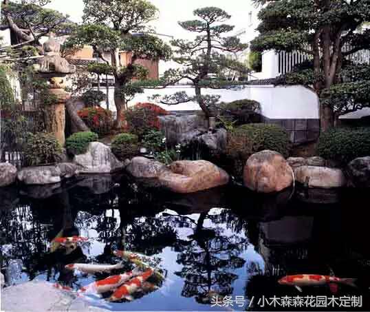 别墅花园之鱼池设计