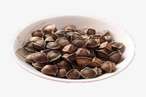 辣木籽的正确吃法？辣木籽的功效？
