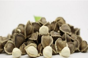 辣木籽什么时间吃最好？辣木籽饭前吃还是饭后吃？