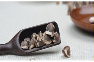 辣木籽怎么选？如何辨别辣木籽的真假？