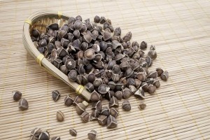 辣木籽怎么吃减肥？辣木籽减肥多久见效？