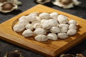 中药辣木籽的作用？辣木籽治什么病？