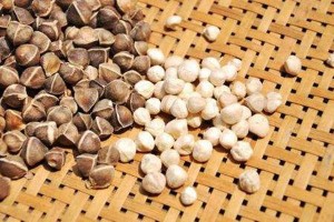 辣木籽是寒性还是温性？脾胃寒的人可以吃辣木籽吗？