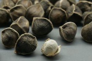 辣木籽可以长期吃吗？辣木籽吃多了会中毒吗？