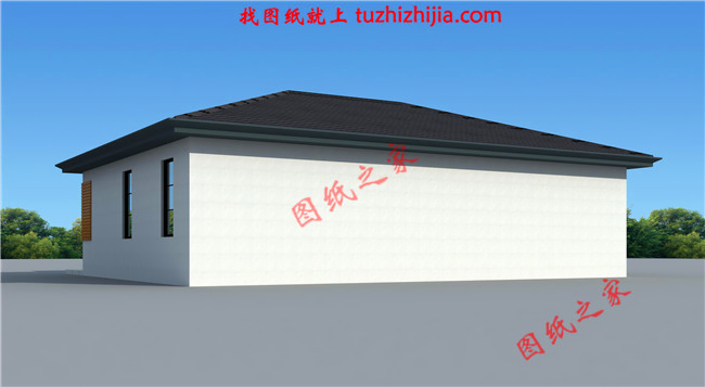 新中式农村一层别墅设计图背面图