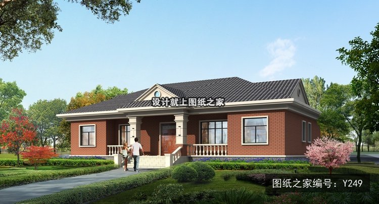 开间20米进深12米一层简欧风带罗马柱无车库 效果图